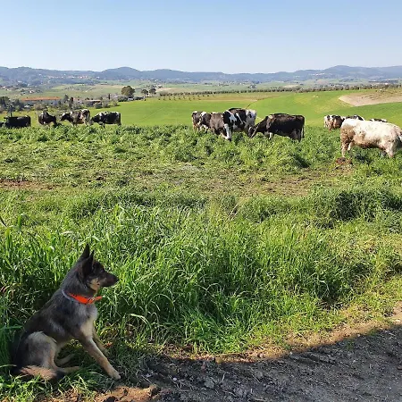 Farm stay Il Giogo