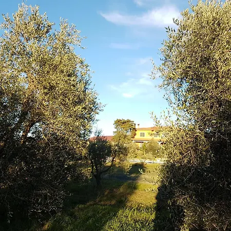 Il Giogo ロジニャーノ・マリッティモ