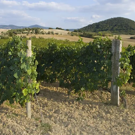 Il Giogo ファームステイ *