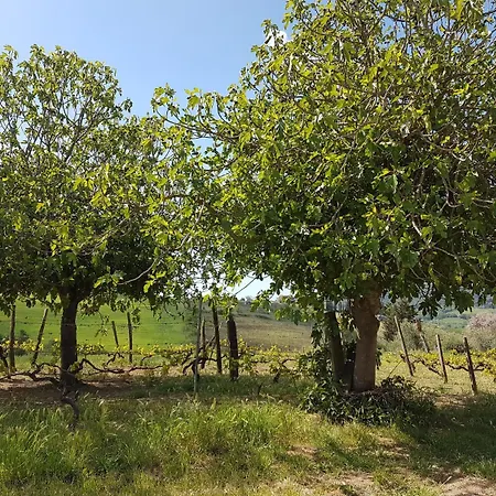 Il Giogo ファームステイ ロジニャーノ・マリッティモ