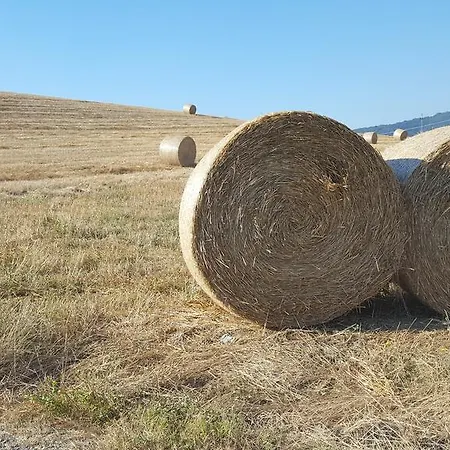 Il Giogo ロジニャーノ・マリッティモ