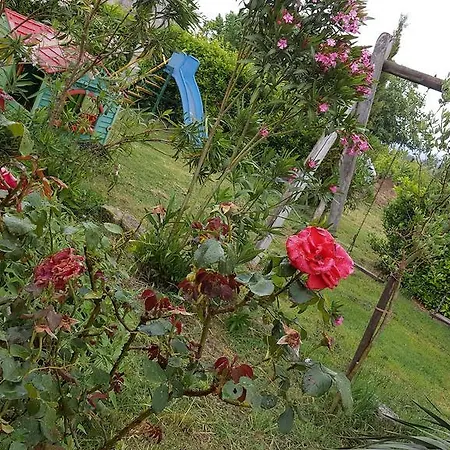 Farm stay Il Giogo Rosignano Marittimo