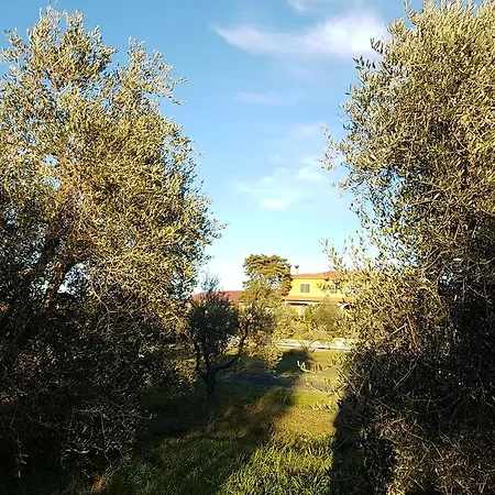 Farm stay Il Giogo *