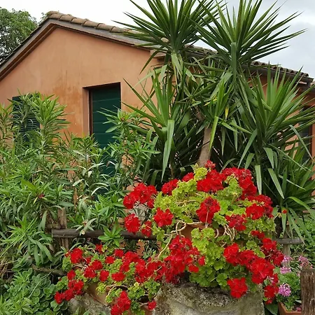 Il Giogo